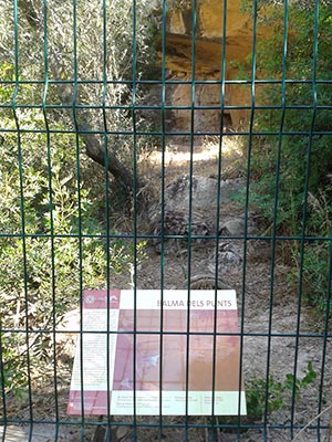 Plafó de la Balma dels Punts