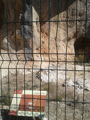 Plafó de Cabra Feixet