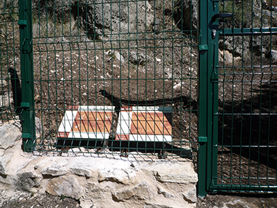 Plafons de Mas d'en Llort i Portell de les Lletres